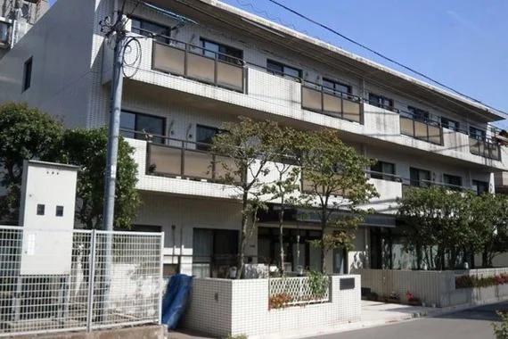 芥末留学电话_1
