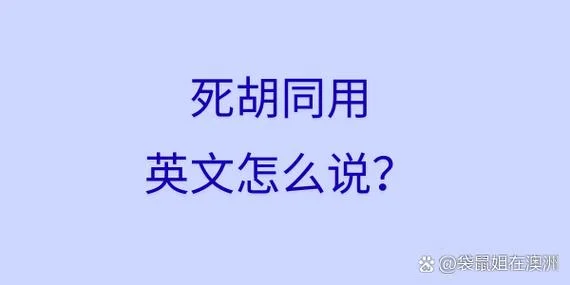 这用英语怎么说的英文-这用英语怎么说