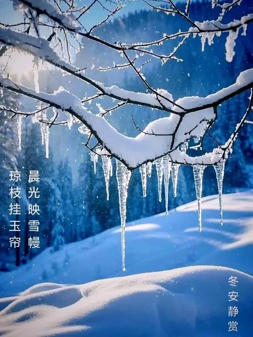 梦见下雪周公解梦图片_1