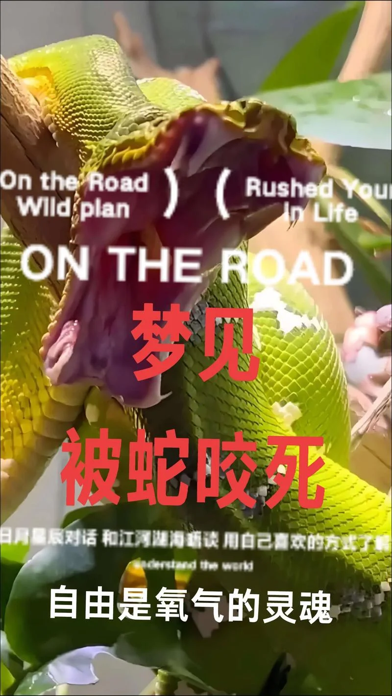 梦到蛇缠住脚怎么回事-梦蛇缠脚解梦