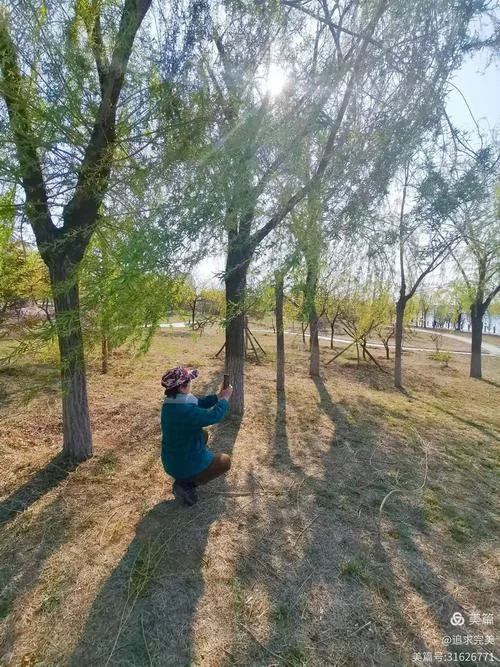春天在这里转了个弯感悟_1