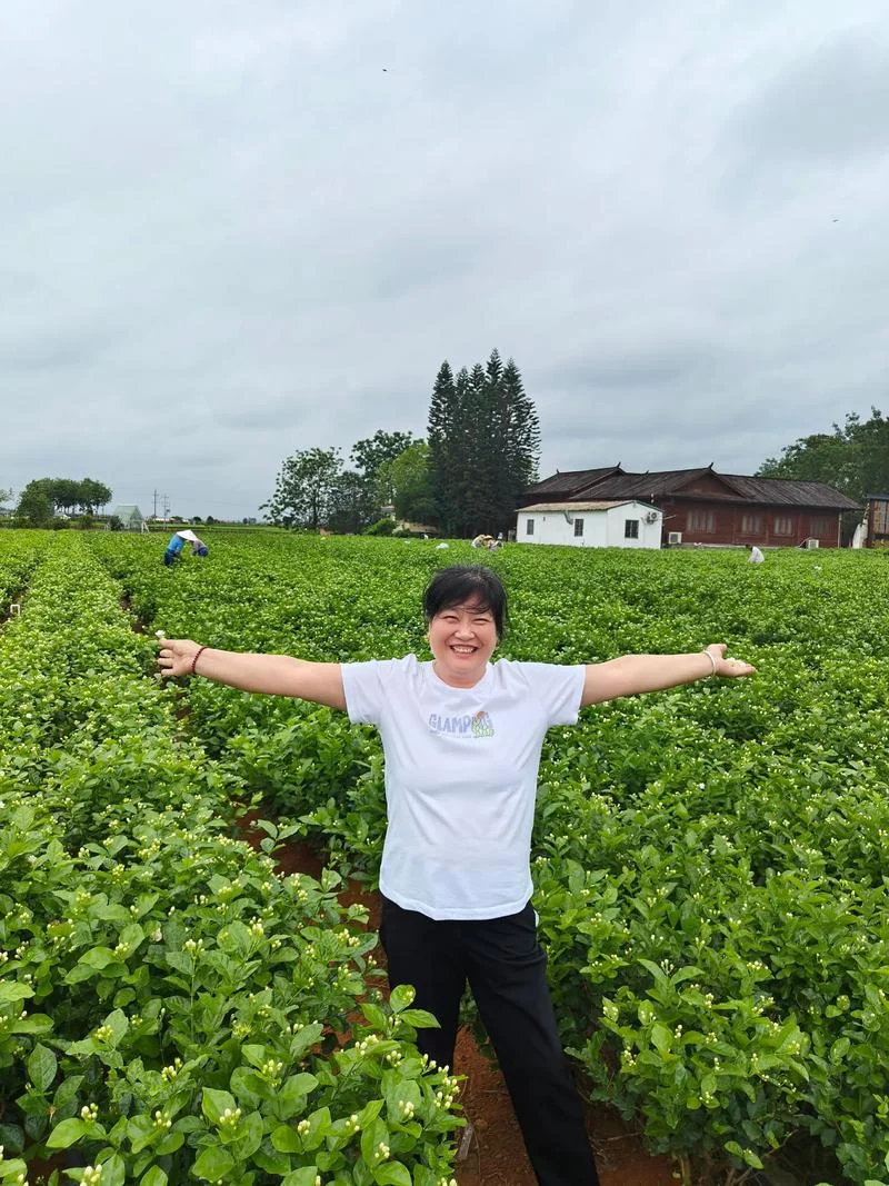 横县茉莉花节几月几号_1