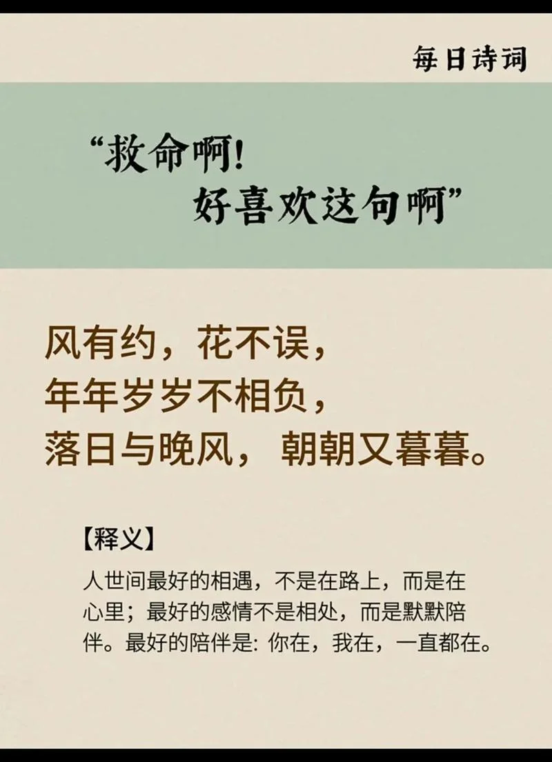 年年岁岁相似下一句_2