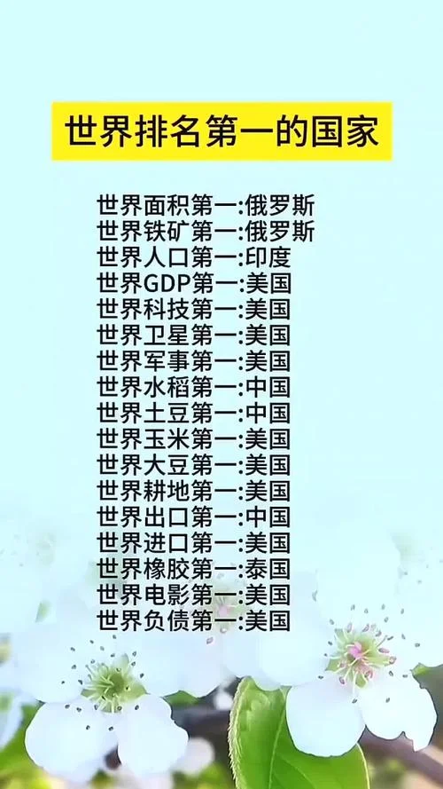 世界历史第一国际_2