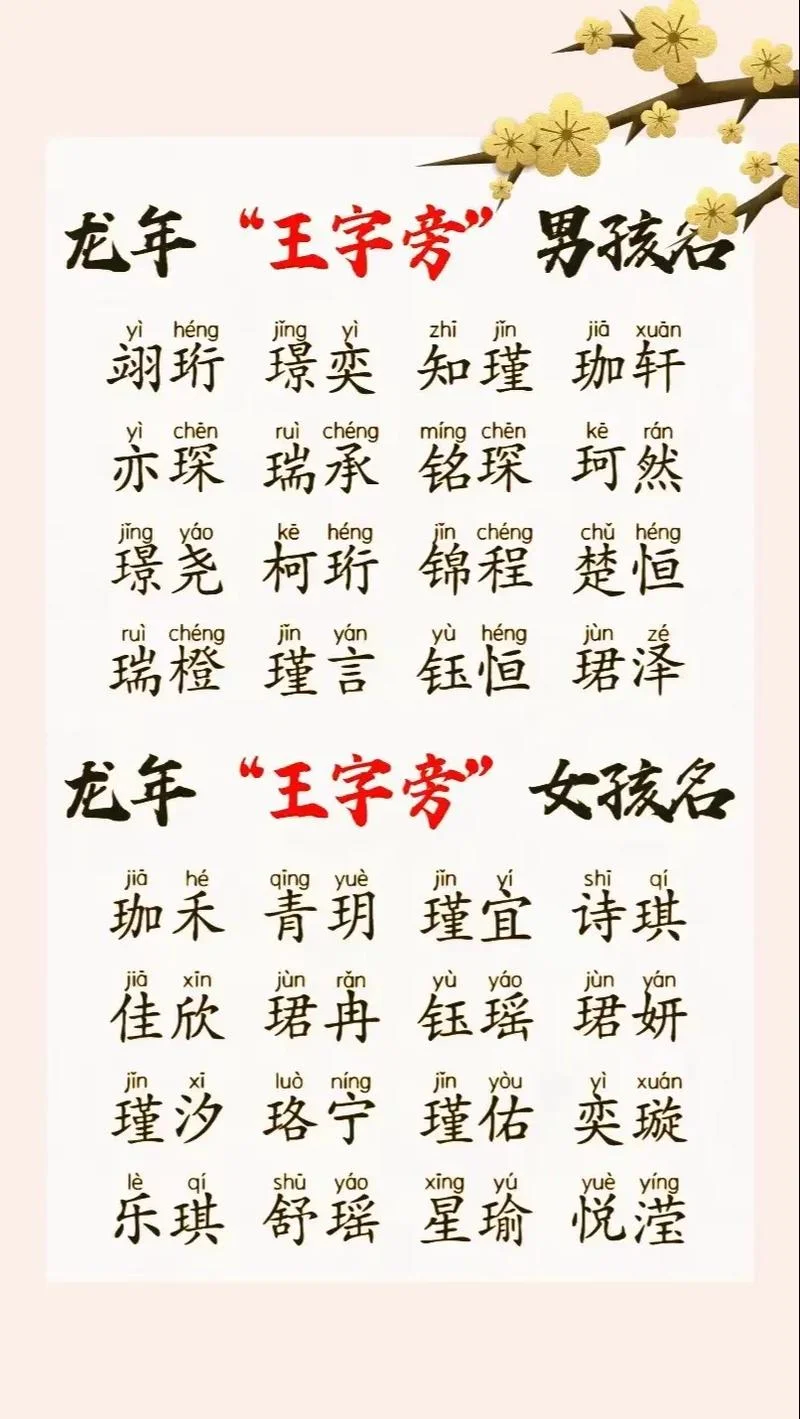 王什么起名字_1