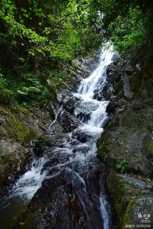 陆川哪里好玩的景点_2