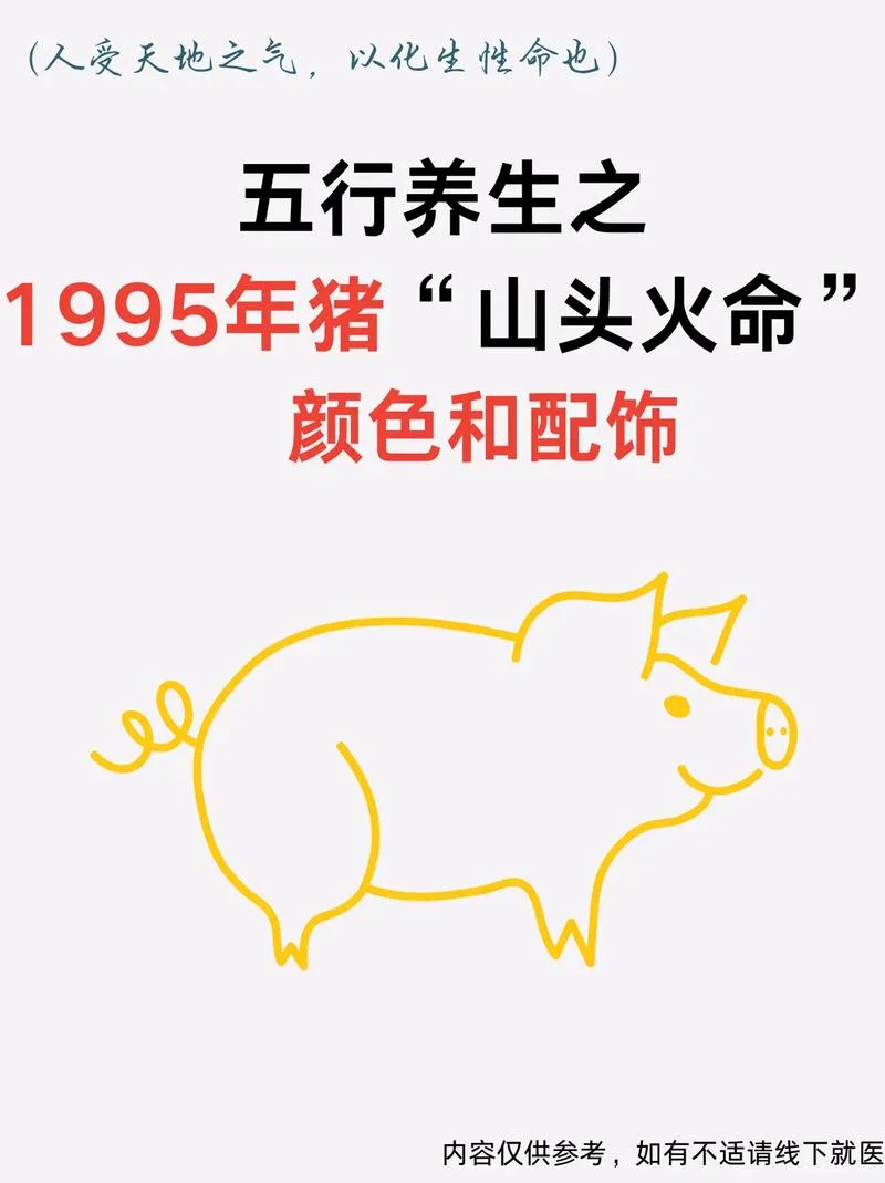 二十四岁属猪女什么命-24 岁猪女命解析