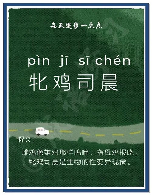 梦见一群鸡预示着什么_2