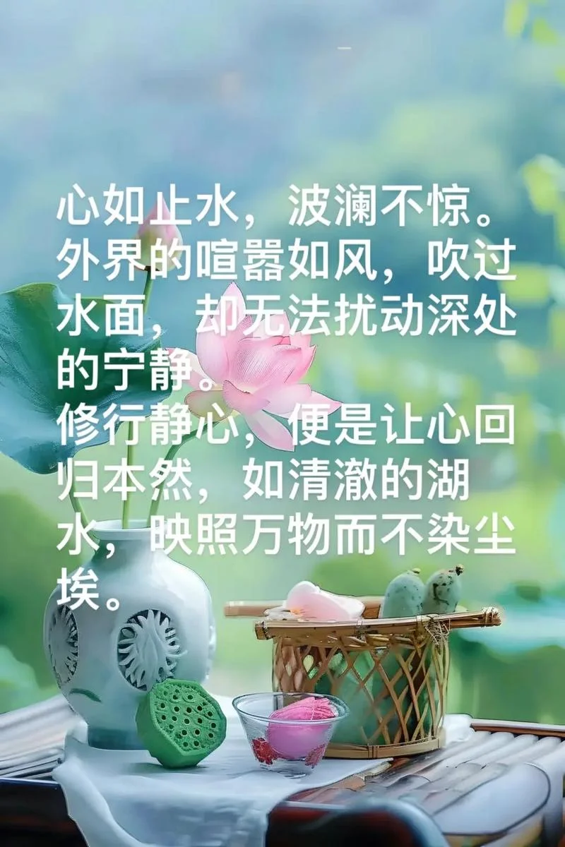 心如止水的出处_2