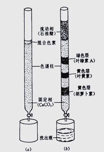 色谱柱对比及原理_2
