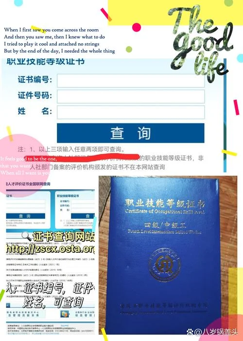 证书查询系统哪个好_2