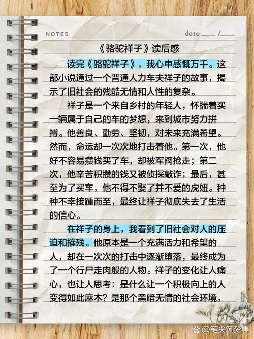 骆驼祥子600字左右读后感-祥子悲剧源于个人奋斗