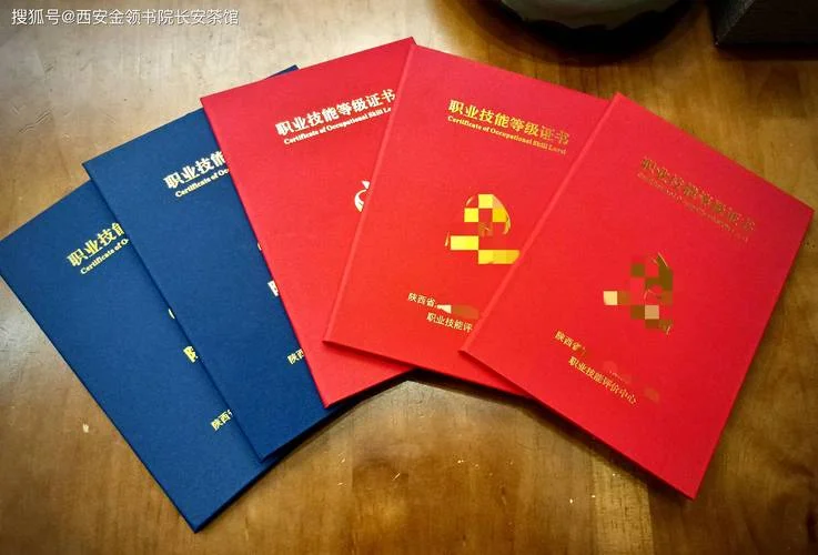 陕西省职业技能证书查询_1