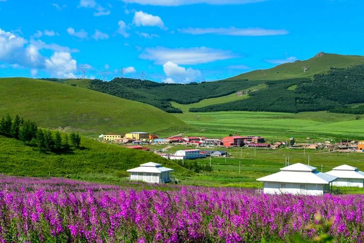 张北旅游景点大全_1