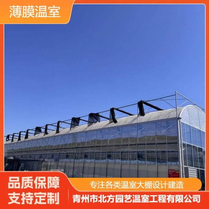 薄膜大棚多少一平方_1