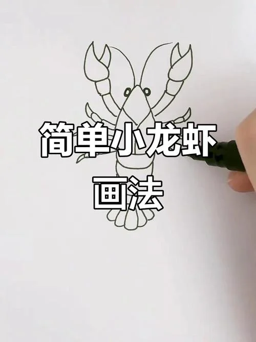 小龙虾包装设计简笔画_2