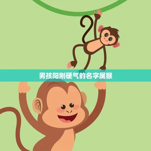 李性猴年男孩起名_2