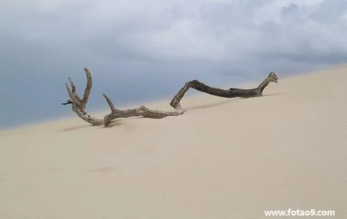 梦见棉袄丢了_1
