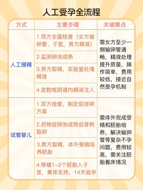 什么是试管婴儿和人工受精_2