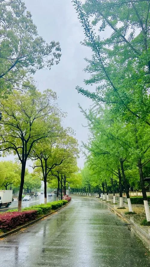 嘉兴历史天气情况_2