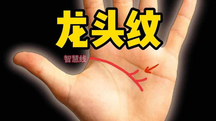 手相是哪个国家的-