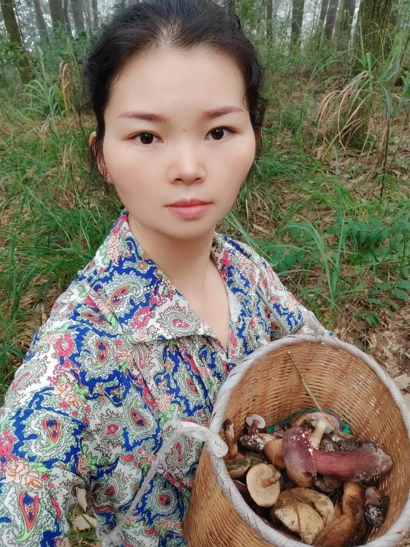 孕妇梦见采蘑菇_2