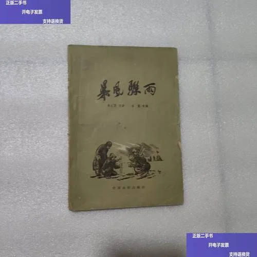 暴风骤雨电影感悟_1