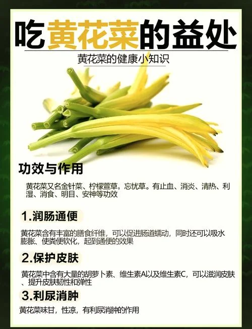 黄花菜都凉了出自哪里_1