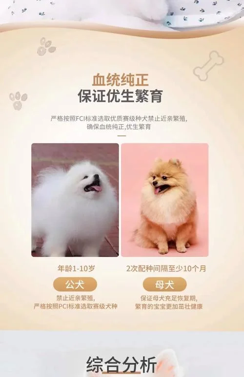 博美犬起名字母_2