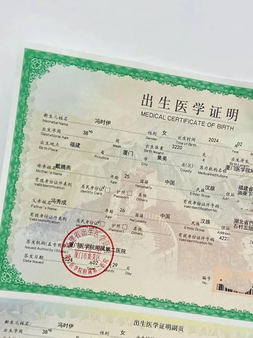 出生公证书怎么查_1