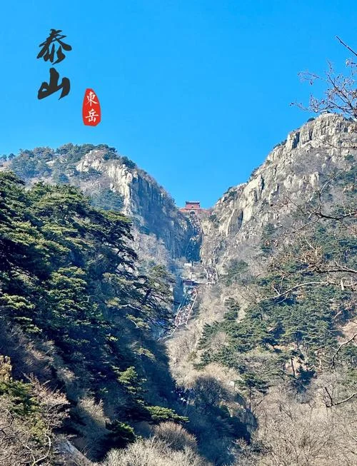 去北京到泰山多少公里_1