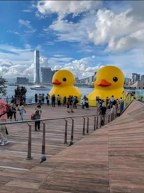 香港攻略3日游自助游_1