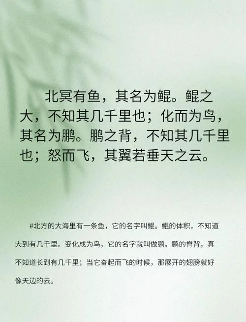 出自《庄子》的成语_1
