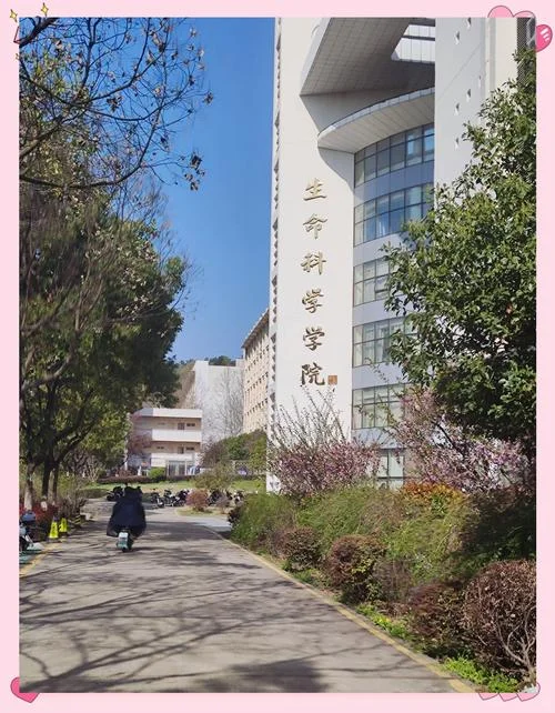 南京师范大学细胞生物学考研真题_2