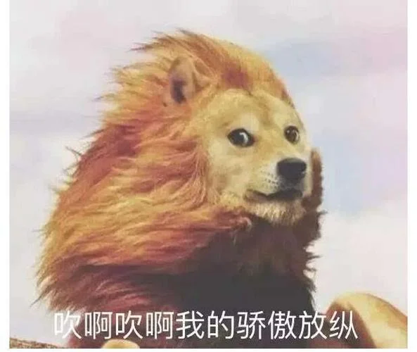 开玩笑我超勇的梗出处_1