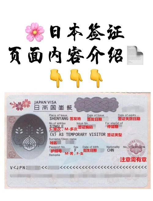 日本单次旅游签证条件_1