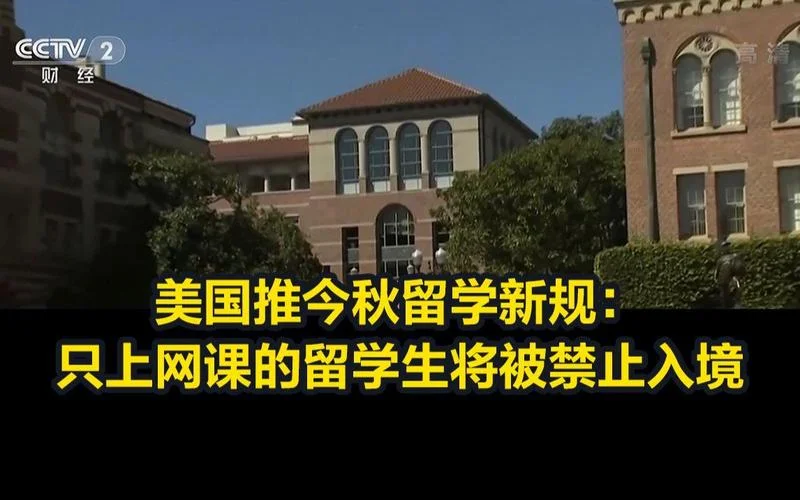 美国留学网课的利弊_1