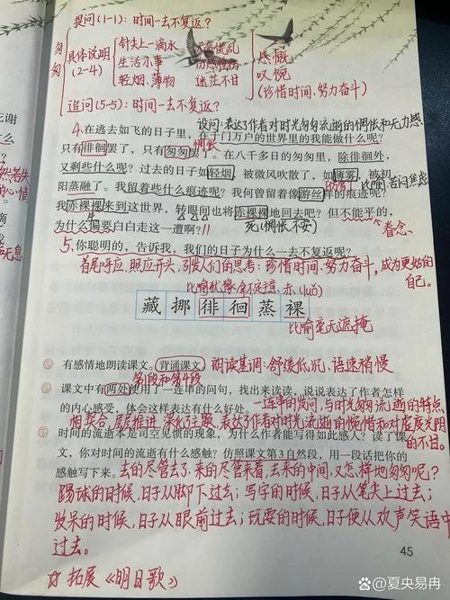 匆匆读后感悟_2