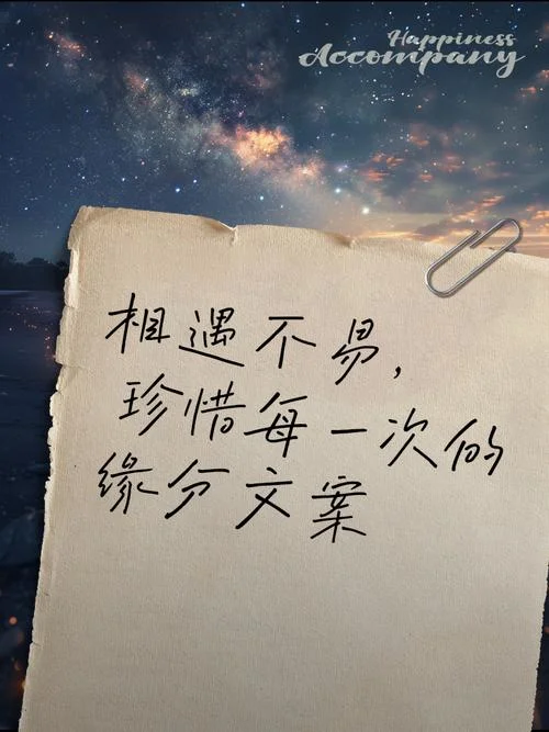 相见太晚的文案_1