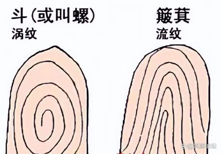 十个簸箕没有斗下一句_2