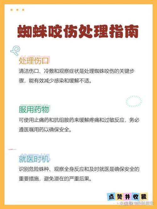 做梦梦到被蜘蛛咬-梦到被蜘蛛咬