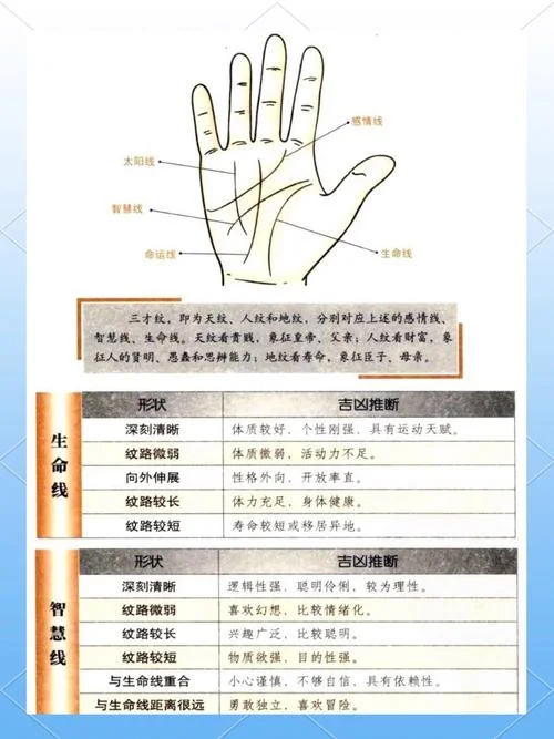 手相出自什么书_2