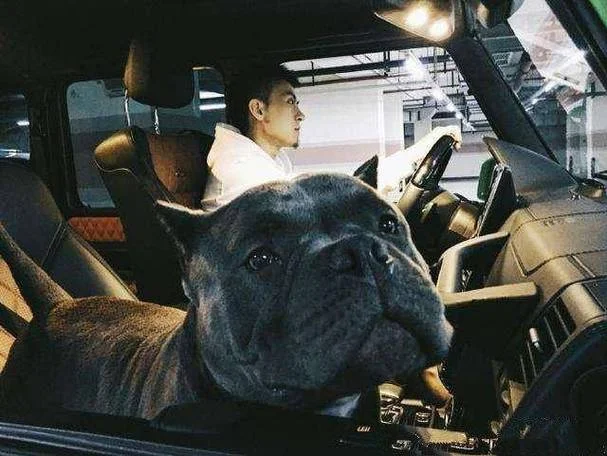 秦奋king多大了_2