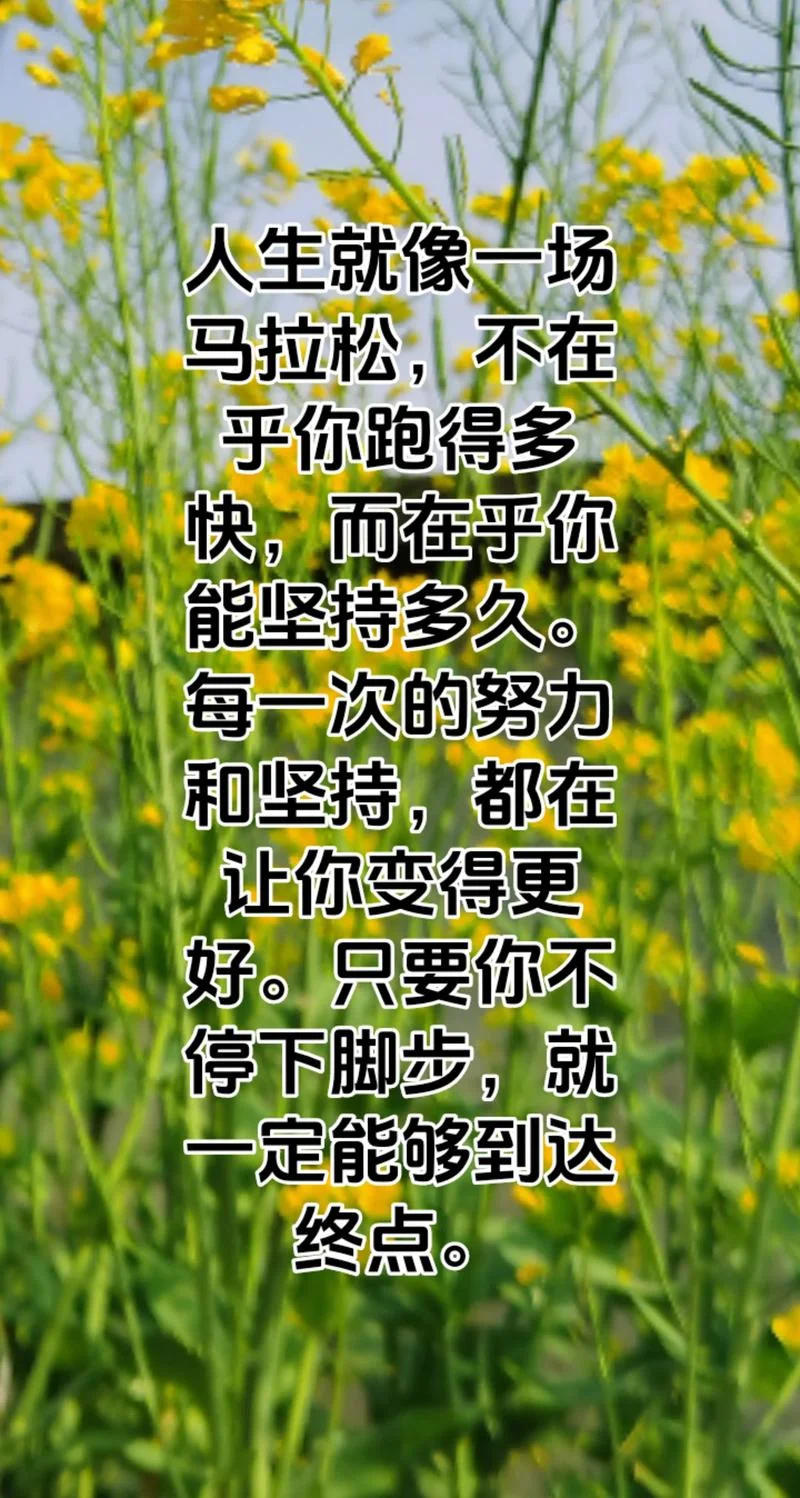 跑马拉松后感悟_1