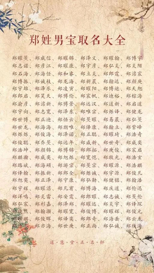 郑姓宝宝起名大全女孩-郑姓女孩宝宝起名大全