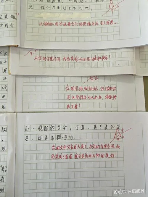 散文怎么写评语_2