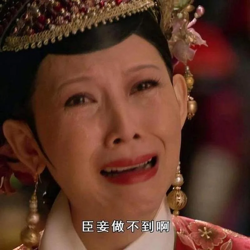 臣妾做不到啊出自哪里_1