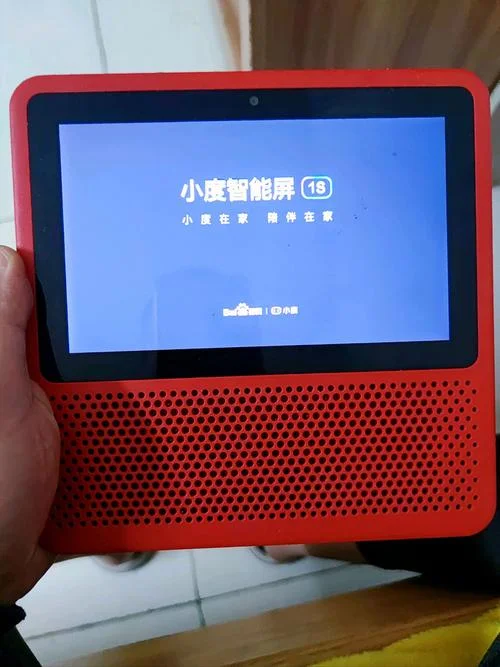 小度小度叫什么名字大全_2