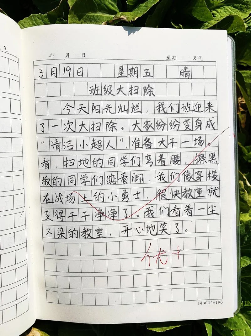 日记作文格式怎么写_2