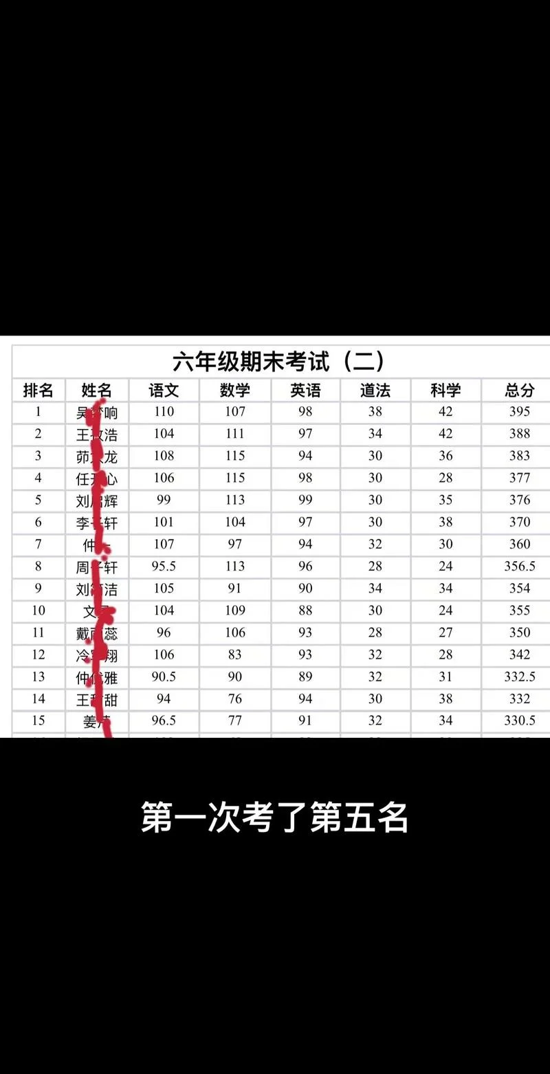 小学汉语成绩低分分析_1